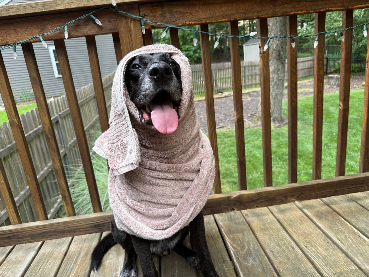 Jasper wrapped in a towel on the deck after a swim, grinning at the camera