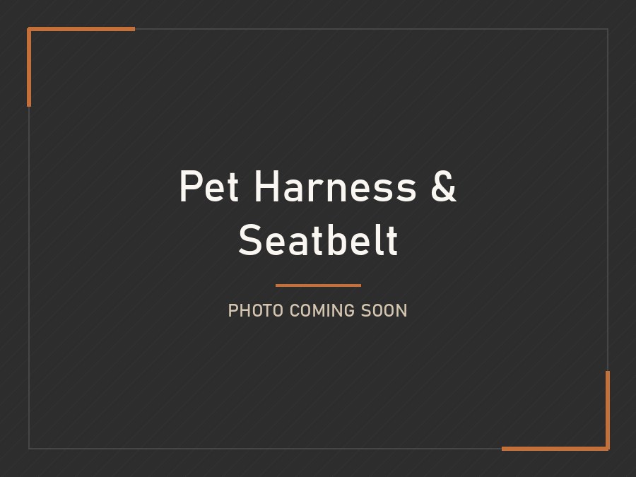 Pet Harness and Seatbelt - photo coming soon